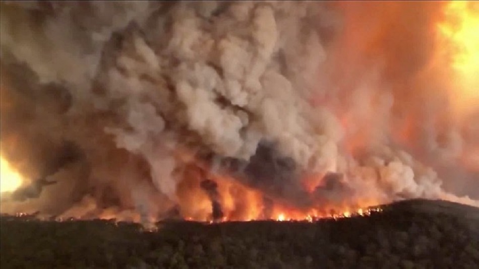 Los Incendios Avanzan En Australia Hay 22 Victimas Fatales Y Murieron 480 Millones De Animales